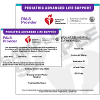2025 AHA PALS eCard
